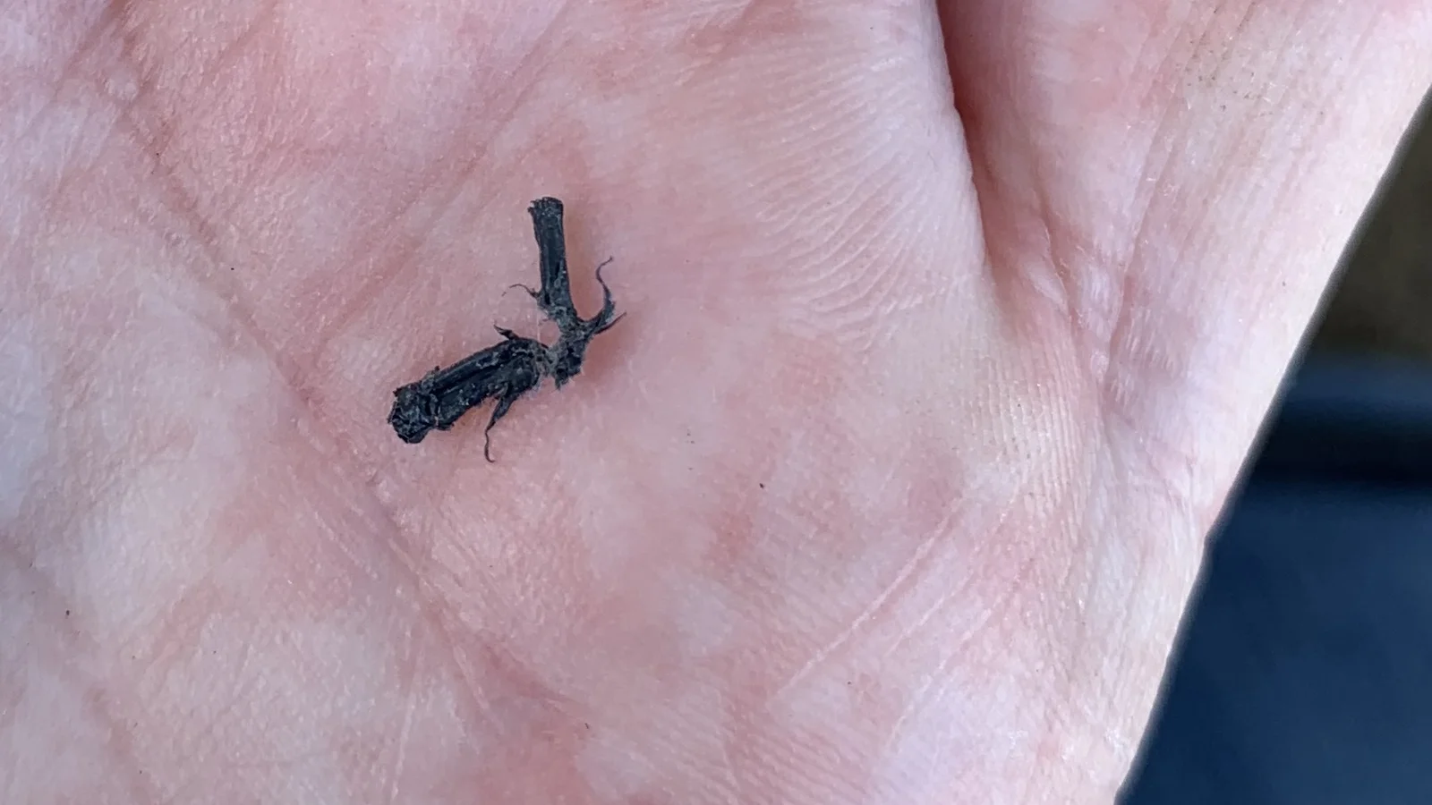Bug Report