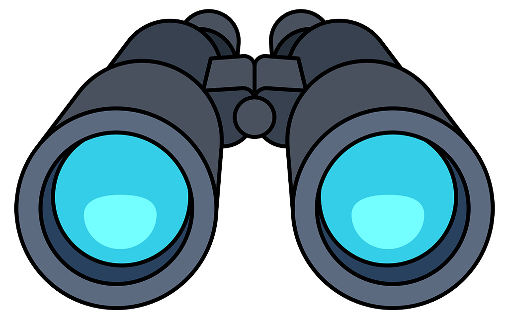 Site Survey